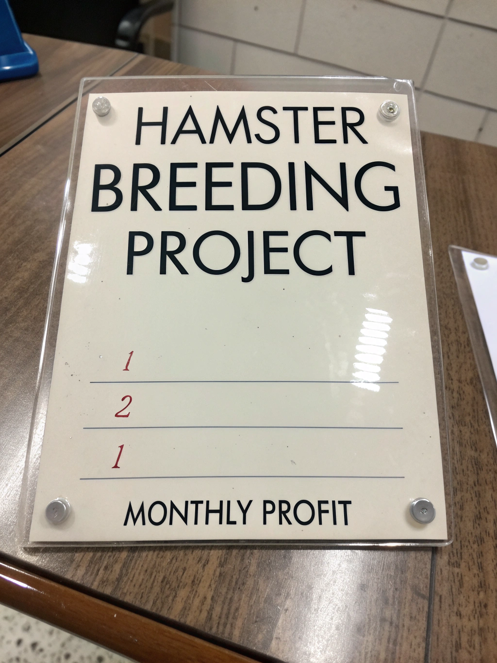 مشروع تربية الهامستر