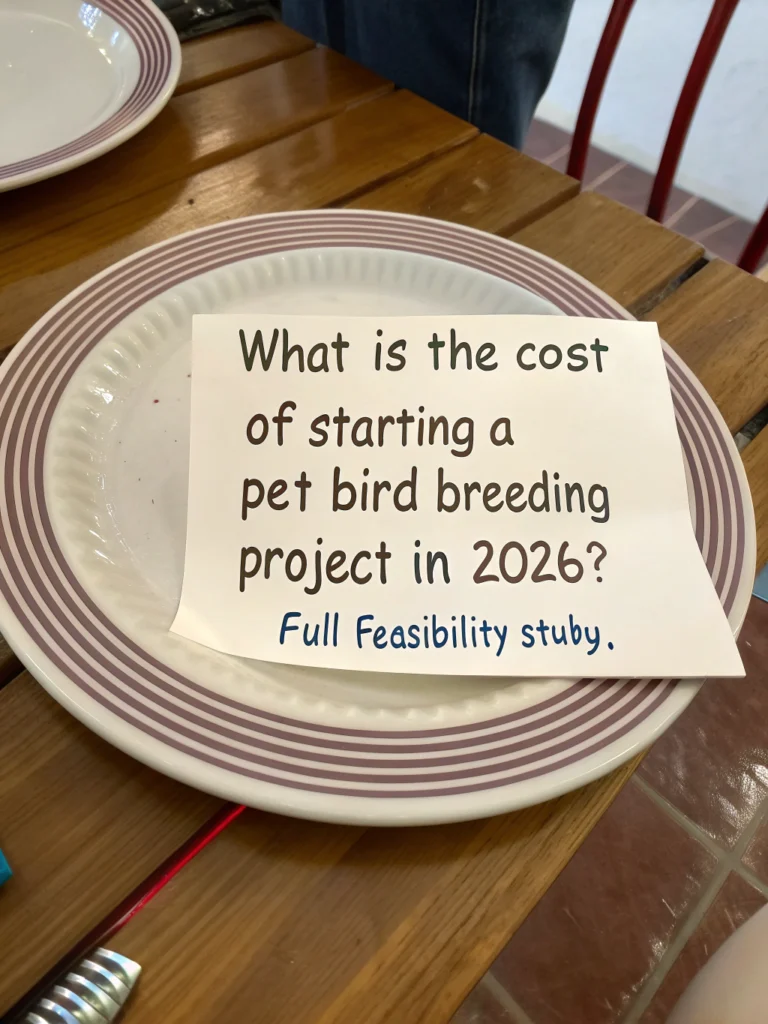 كم تكلفة مشروع تربية طيور الزينة
