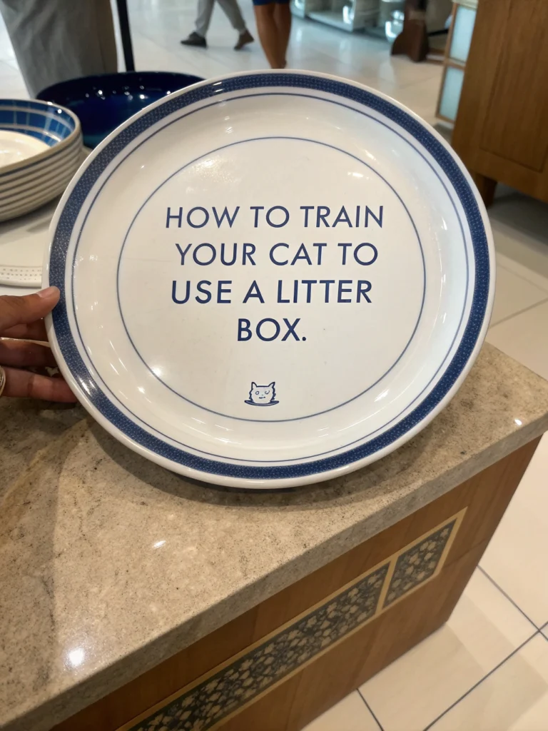 كيف تدرب قطتك على استخدام صندوق الرمل