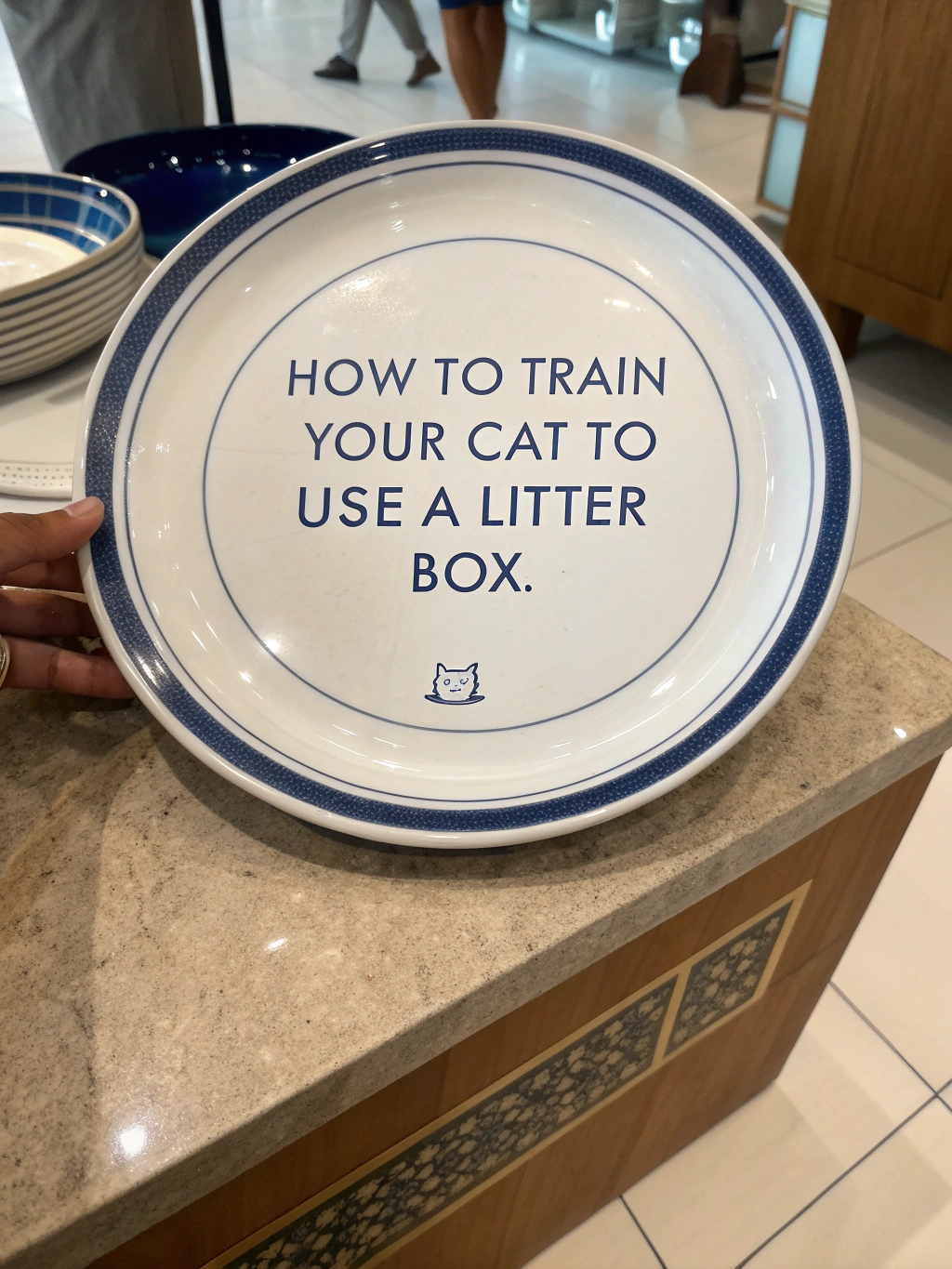 كيف تدرب قطتك على استخدام صندوق الرمل